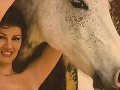 New Porn Videos 178